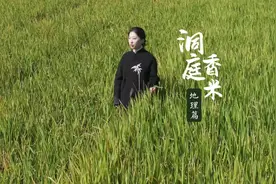 广袤的洞庭湖平原，孕育了肥沃的水稻土；亚热带季风气候