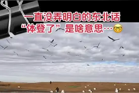 #东北话十级 #家乡话 #方言的魅力 #东北 #方言