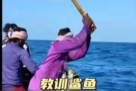 抓住偷吃的鲨鱼 鲨鱼屡次偷吃渔民的金枪鱼，终于惹恼了野渔民，把它钓住后就是一顿棍棒教育#动物世界#神奇动物#内容启发搜索 #看动物世界品百味人生 #解说版动物世界