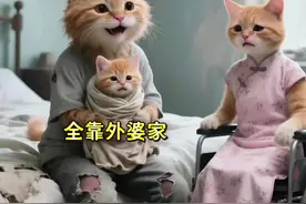 “苦难不值得歌颂，但那股拼搏精神永远让人敬佩”#原创视频 #萌宠计划 #庞众望 #真实事件