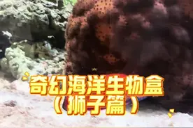 开到什么养什么！里面居然有彩虹动物～ #诺亚方缸视频封面