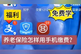 如何利用支付宝在手机上缴纳养老保险费？#社保视频封面