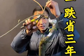 二十买的现在能值多少🤣#灌木金弹子 #好东西一起分享给大家 #修剪盆景造型设计 #园艺生活 #兴趣爱好视频封面