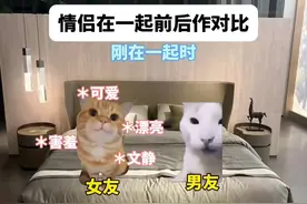 变脸这一块 #喵meme小剧场 #猫咪 #猫meme #猫meme小剧场