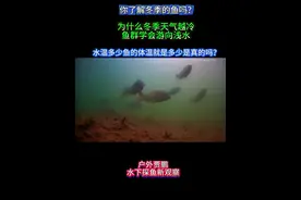 水温多少鱼的体温就是多少是真的吗？ #了解冬季的鱼#探索冬季鱼群 #水下探鱼视频 #户外探鱼 #户外贾鹏