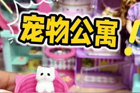 我有宠物公寓啦，养小猫太可爱了～ #玩具#宠物公寓#小猫视频封面