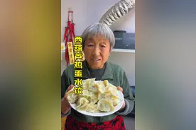 西葫芦鸡蛋馅饺子鲜嫩不出汤 老妈做的西葫芦鸡蛋饺子口感清新营养好吃不出汤#谁懂这一口的好吃程度 #我的乡村生活 #西葫芦饺子视频封面