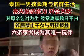 泰国一男孩长期与狗群生活丧失说话能力只会犬吠（潇湘晨报）
