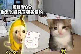 数学题能离谱到什么地步#猫meme小剧场#离谱#内容启发搜索 #真实还原视频封面