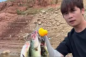 这一步让你钓的鱼更鲜美，还能祛除腥味！ #疯狂的路亚佬 #路亚翘嘴 #路亚野钓 #路亚 #内容启发搜索