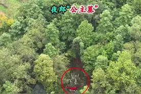 贵州六盘水大山里的夜郎公主坟，据说由成千上万只蚂蚁卷土掩埋，因为太神奇，有不少人慕名而来！#神秘 #夜郎公主坟 #自然奇观 #内容启发搜索 #度假康养in贵州