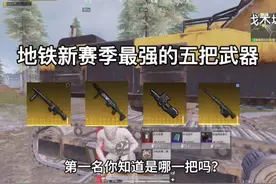 地铁逃生最强的五把武器#和平精英教学#和平精英地铁逃生视频封面