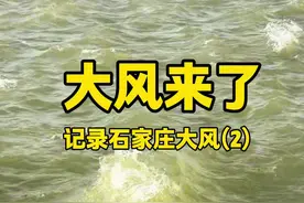 石家庄的大风去哪了？ 都在等风来，又怕它乱来，石家庄大风去哪了？是在办进京证吗，还是周五限号？旅途侦探继续带大家记录石家庄的大风，此刻你那里刮风了吗？ #北方大范围大风天气 #大风将扫过多省 #这周六不出门视频封面