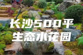 耗时两个月把500平的农家小院改造成生态水花园全过程#生态水花园 #生态鱼池 #农村自建房 #小院改造 #旧房改造视频封面