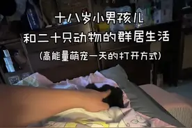 和毛孩子的每一天都好快乐！#高能量萌宠一天的打开方式#宠宠超能力#抖in萌宠计划视频封面