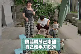请教各位大厨，腌糖蒜到底用不用加水呀？#腌糖蒜 #糖蒜视频封面