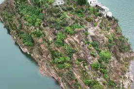 金沙江上的小岛，如果给你根鱼竿你愿意住多久不出岛！