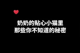 #233乐园 #奶奶的贴心小猫 （官方正版）#我的猫 #游戏推荐