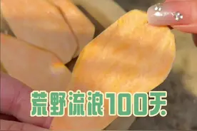 自制薯片 #野外生存 #荒野求生 #户外 #流浪 #我的乡村生活视频封面