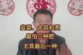 韭菜、大蒜、葱就怕三种肥，不管底肥还是追肥，都要多加注意视频封面