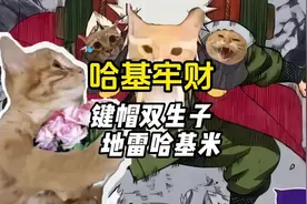 圆头耄耋与哈基牢财 #娱乐 #抽象 #哈基米 #二次元 #萌宠视频封面