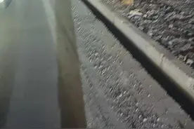 #我们都在努力活着视频封面