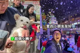 这里不是非洲肯尼亚！这里是中国郑州！ #春日好风光  #春日打卡动物王国  #银基动物王国  #银基冰雪酒店  #北京周边游视频封面