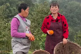 明天是农历十月十三，我要赶泸州龙马潭区胡市，龙二赶泸州纳溪区上马，需要刀的姐妹们记得早点来哟。#容姐和龙二的乡村生活视频封面