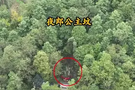 六盘水深山发现夜郎公主坟，据说由成千上万只蚂蚁卷土掩埋，当地人觉得这种现象十分神奇，又称它为神仙坟！#夜郎 #古迹遗址 #夜郎古国