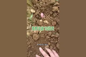 在野外如何洗澡 #我的乡村生活 #户外 #野外生存 #流浪 #荒野求生视频封面