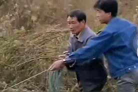 上海刑警803一条没有废话的视频 #回想当年看过的这一段 #有点意思 #因为一个片段看了整部剧 #真实事件图片 #上海刑警803视频封面