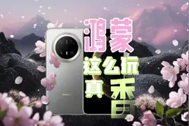 鸿蒙这么玩，真香 升级鸿蒙next，立马拥有免费的智能助理团队视频封面