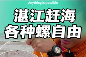 湛江赶海，短短的时间就能收获一大桶海鲜，我打卡过这么多地方，这个地方的螺又多又丰富！湛江排前面的赶海点。欢迎大家来湛江赶海，体验赶海生活。#湛江推荐哪里赶海 #赶海湛江推荐哪里 #新农人计划2025 #湛江旅游攻略 #渔民生活实拍视频封面