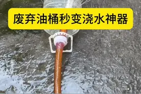 废弃油桶秒变浇水神器 #实用小技巧 #妙招分享 #实用小妙招 #生活好帮手