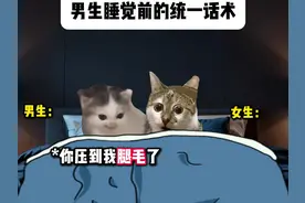 男生睡觉前的统一话术#情侣日常 #搞笑 #猫meme