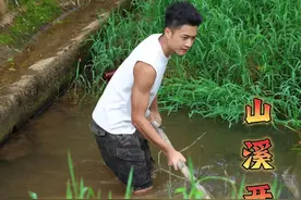 每当暴雨过后小溪总会冲下来很多鱼儿，山溪的“盲盒”快到季节尾声了，你还想继续看我开盲盒吗？#儿时记忆 #我的乡村生活 #秋天的第一口鲜 #抖音新农人 #各省都有自己的丰收好物痛包