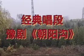 #豫剧 #朝阳沟#魏云老师的原声视频封面