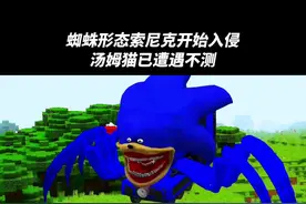 蜘蛛形态的索尼克开始入侵我的家园，汤姆猫也已经遭遇不测！ #索尼克 #汤姆猫 #我的世界 #抖音电脑版 #用电脑刷抖音有多爽