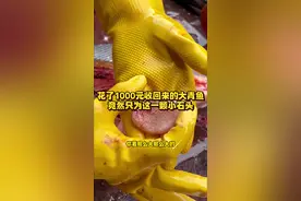 花了1000元收回来一条野生大青鱼，竟然只为了这颗石头#杀鱼技术 #菜市场 #厨房菜刀视频封面