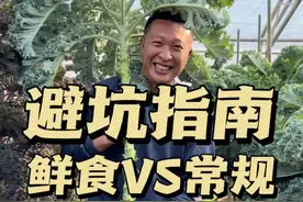 羽衣甘蓝避坑指南 大面积种植羽衣甘蓝的朋友看过来，如何区分鲜食羽衣甘蓝和常规的品种，种植一定要擦亮眼睛#羽衣甘蓝 #羽衣甘蓝种子 #茶百道视频封面