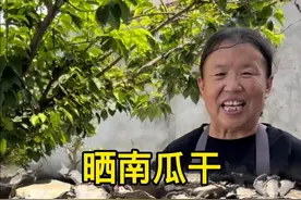 个人觉得用青灰晒出来的南瓜干比直接晒的好吃几倍，首先它没有甜味，其次怎么炒都不面，劲道又美味#南瓜干 #我的乡村生活 #沉浸式体验农村的夏至 #新农人计划2025 #乡村味道