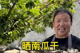 个人觉得用青灰晒出来的南瓜干比直接晒的好吃几倍，首先它没有甜味，其次怎么炒都不面，劲道又美味#南瓜干 #我的乡村生活 #沉浸式体验农村的夏至 #新农人计划2025 #乡村味道