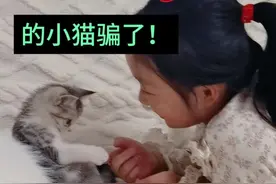 捡到一只会兵法的猫猫是一种什么体验#一家三口地库捡猫 #萌宠出道计划 #流浪猫视频封面