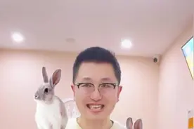 兔兔应激有什么表现呢。#萌宠出道计划 #兔叽兔叽 #科学养兔 #兔子 #养兔人