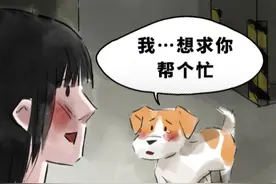 失去孩子后的流浪狗妈妈，把剩下的孩子都转移走了，她还是愿意相信人类，带女子去看了剩下的宝宝，善良的女子一家力所能及地照顾着她们#感动瞬间 #万物皆有灵性 #母爱 #救助流浪狗 #画画