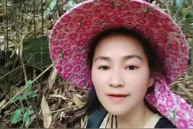 大自然就是很奇妙，一棵树能长出两种不一样的叶子。 这就是枫荷桂#大自然的馈赠 #大山里的生活 #户外视频封面