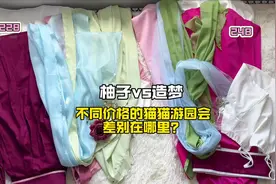 两套猫猫游园会衣服，真的好美～#药屋少女的呢喃#细节