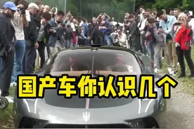 国产车你能认出多少个 #汽车知识 #每天一个用车知识