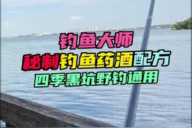 钓鱼大师秘制钓鱼药酒配方 野钓黑坑通用专治高温与不开口！ #钓鱼技巧 #野钓 #钓鱼添加剂 #原来钓鱼才是抖音运动顶流 #dou是钓鱼人视频封面