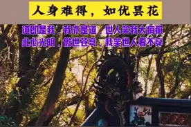 你是谁？你从哪里来？你到哪里去？我们人类，生于🈶道，归于🈳道